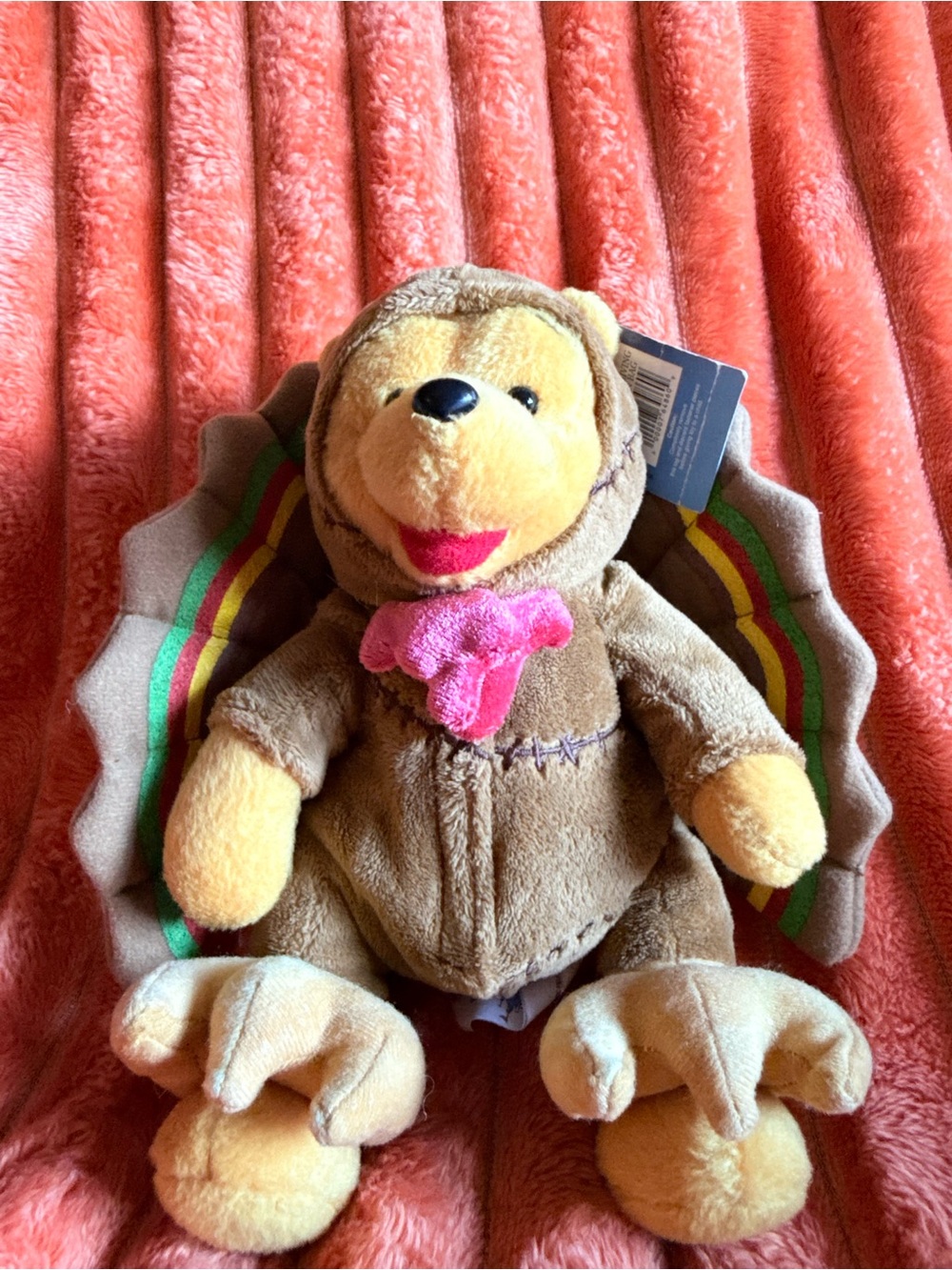 NWT’s 2003 Disney Thanksgiving Pooh Bean Bag Plush Stuffy - Collectible Vintage